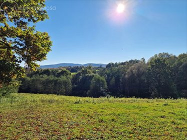 działka na sprzedaż 2559m2 działka Błażkowa