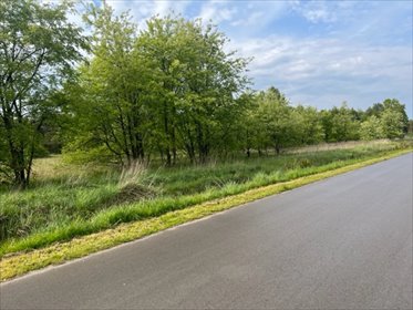 działka na sprzedaż 6059m2 działka Nisko, Barce, Konwaliowa