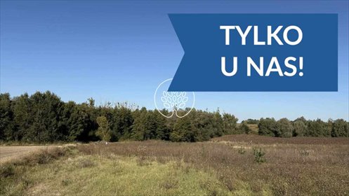 działka na sprzedaż 4927m2 działka Szczutki