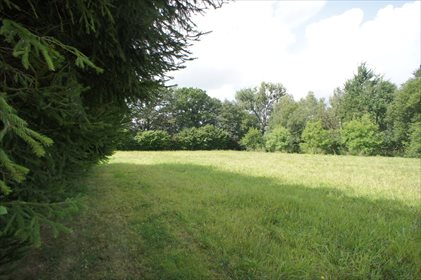 Działka rolna pod dzierżawę Krzywice 8 385m2 Foto 2