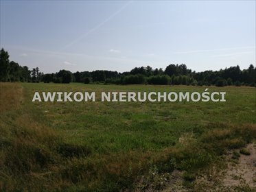 Do sprzedania działka siedliskowa 1,1 ha z lasem w Radziejowicach działka Radziejowice, Stare Budy Radziejowskie