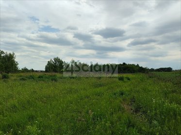 Polecam działkę usługowo-produkcyjną 7 629 m² blisko Obwodnicy działka Warszawa, Ursynów