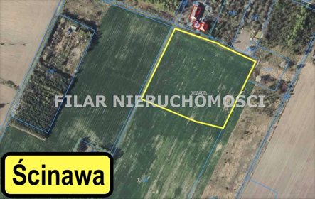 działka na sprzedaż 13750m2 działka Ścinawa