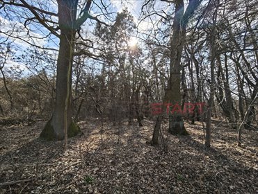 działka na sprzedaż 6500m2 działka Książenice