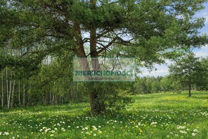 Działka 2000 m² z planem zagospodarowania i mediami działka Zalesie