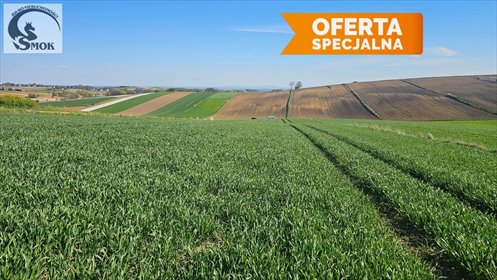 działka na sprzedaż 9900m2 działka Głęboka