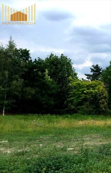 Działka 993 m² w Trzcince (poświętne) z warunkami zabudowy działka Trzcinka