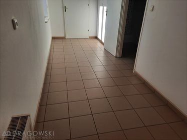 Lokal użytkowy na sprzedaż Stare Lipiny 2 455m2 Foto 6