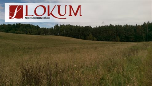 Działka budowlana na sprzedaż Sucha Huta 3 004m2 Foto 4