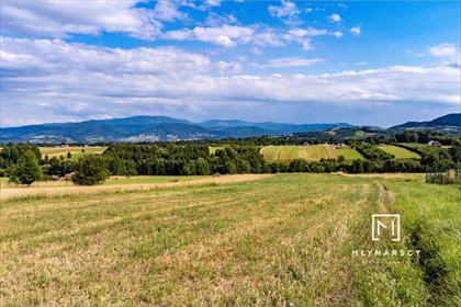 działka na sprzedaż Lipowa 2000 m2