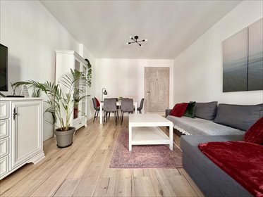 mieszkanie na wynajem 61m2 mieszkanie Wrocław, Stare Miasto, Przedmieście Oławskie, Miernicza