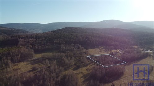 działka na sprzedaż 11081m2 działka Świeradów-Zdrój, Czerniawa-Zdrój, Lwówecka