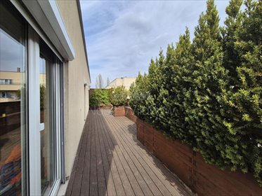 mieszkanie na wynajem 168m2 mieszkanie Warszawa, Mokotów, Sadyba, Limanowskiego