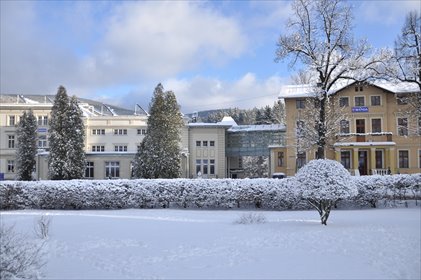 lokal użytkowy na sprzedaż 3805m2 lokal użytkowy Lądek-Zdrój, Ignacego Paderewskiego