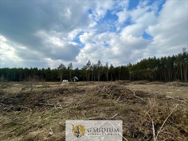 Działka usługowa 1673 m² w Starej Kiszewie - polecam! działka Stara Kiszewa