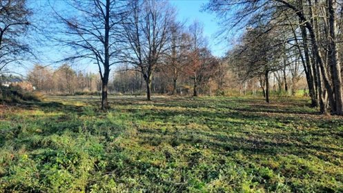 działka na sprzedaż 2100m2 działka Chyby