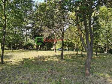 Działka budowlana na sprzedaż Buków 2 086m2 Foto 5