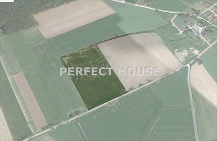 działka na sprzedaż 4597m2 działka Kołata