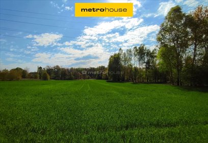 Duża działka inwestycyjna 5612 m² z szerokim potencjałem działka Rybnik, Gruntowa
