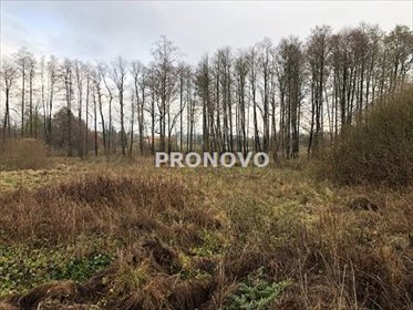 Działka 3000m² z dostępem do rzeki i lasów - polecam działka Dominikowo