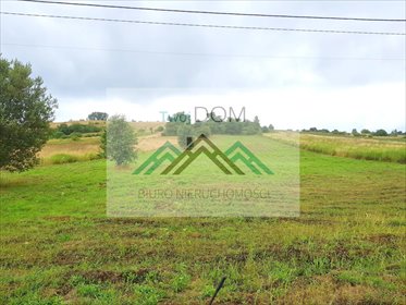 działka na sprzedaż 6038m2 działka Krzykawa