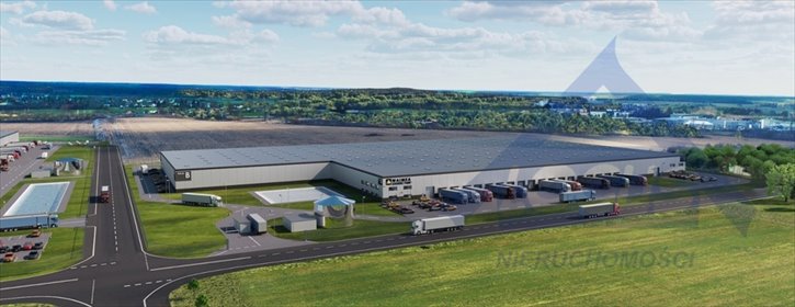 Na wynajem nowoczesny magazyn 2 700 m² w Modlinie magazyn Nowy Modlin