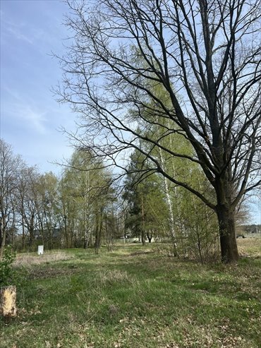 działka na sprzedaż 1302m2 działka Milanówek, Polesie