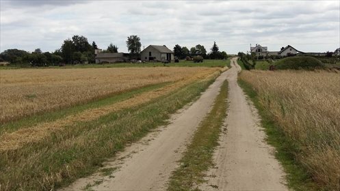 Działka inna na sprzedaż Grzebienisko, Huby 1 250m2 Foto 1