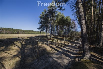 działka na sprzedaż 5895m2 działka Łętownia