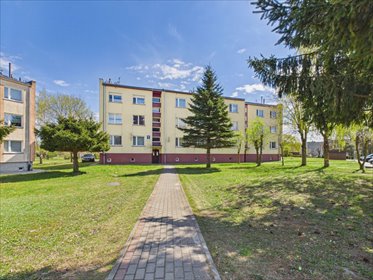 mieszkanie na sprzedaż 77m2 mieszkanie Czernin, Władysława Stanisława Reymonta