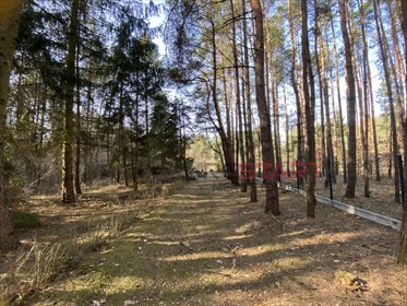 Działka 2869 m² z mediami, las, spokojna okolica działka Siestrzeń