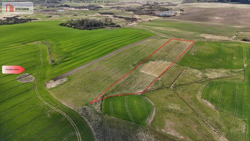 Zapraszam do zakupu działki 1,6ha z lasami i polami w Dalewo działka Dalewo