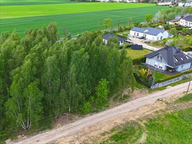 Sady pod Poznaniem | Działka z brzozami | 1544 m2 działka Sady, Topolowa