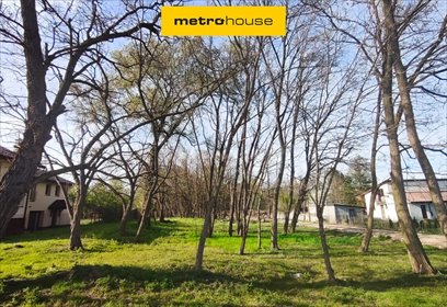 Działka 950 m² w spokojnej okolicy Skierniewic działka Skierniewice
