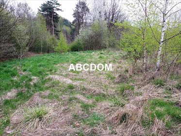 działka na sprzedaż 3915m2 działka Raciborsko, Raciborsko