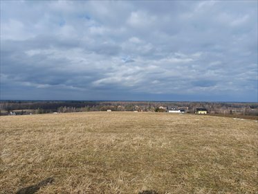 działka na sprzedaż 12100m2 działka Pierściec