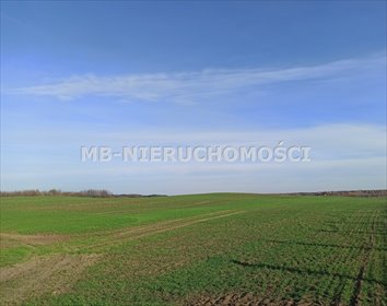 działka na sprzedaż 2600000m2 działka Jurgi