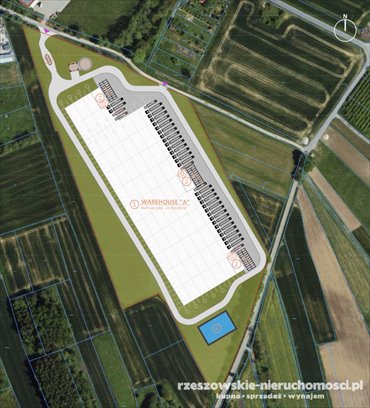 działka na sprzedaż 56200m2 działka Kraczkowa
