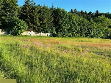 działka na sprzedaż 2800m2 działka Jeziory Wielkie