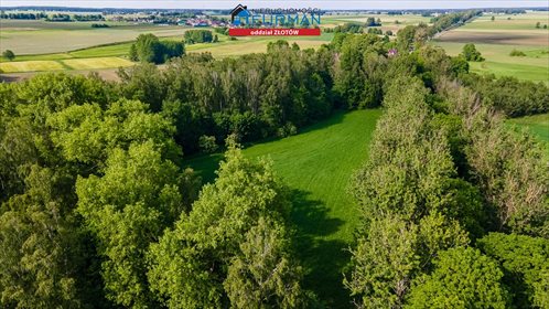 Działka leśna na sprzedaż Głomsk 18 000m2 Foto 3