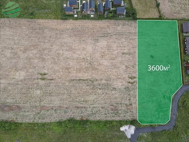 Działka rekreacyjna 3600m² blisko morza w Rusinowie. działka Rusinowo, Sosnowa