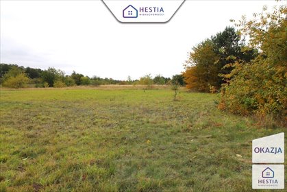 Sprzedam działkę 9728 m² z linią brzegową jeziora Miedwie działka Jęczydół