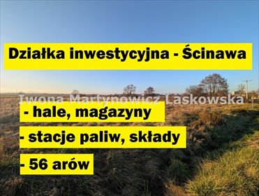 Działka inwestycyjna 56 arów z możliwością zabudowy działka Ścinawa