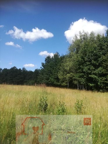 działka na sprzedaż 31800m2 działka Garbatówka