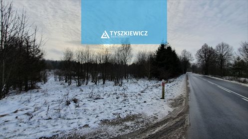 Działka rolna na sprzedaż Kierzkowo, Bliziny, Morska 49 200m2 Foto 6