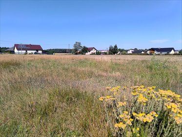 działka na sprzedaż 5823m2 działka Żytowice