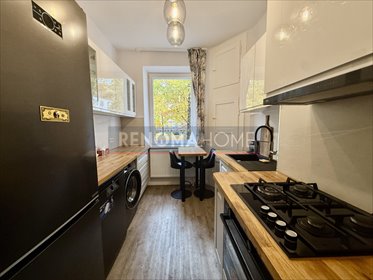 mieszkanie na wynajem 55m2 mieszkanie Legnica