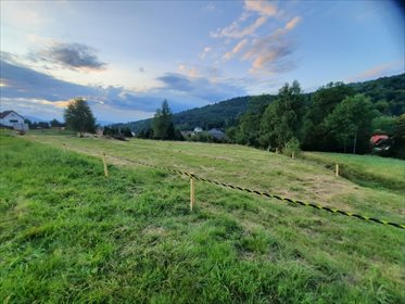 Działka budowlana na sprzedaż Juszczyna 5 372m2 Foto 4