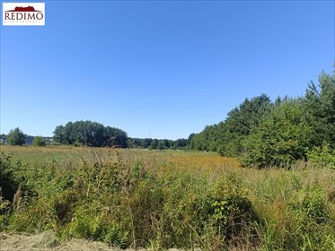 działka na sprzedaż 728m2 działka Orzesze, Zazdrość