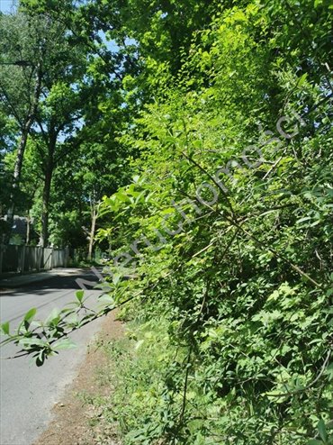 działka na sprzedaż 2313m2 działka Brwinów